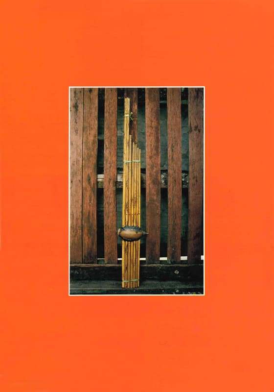 สารานุกรมกลุ่มชาติพันธุ์ : ไทยโซ่ง