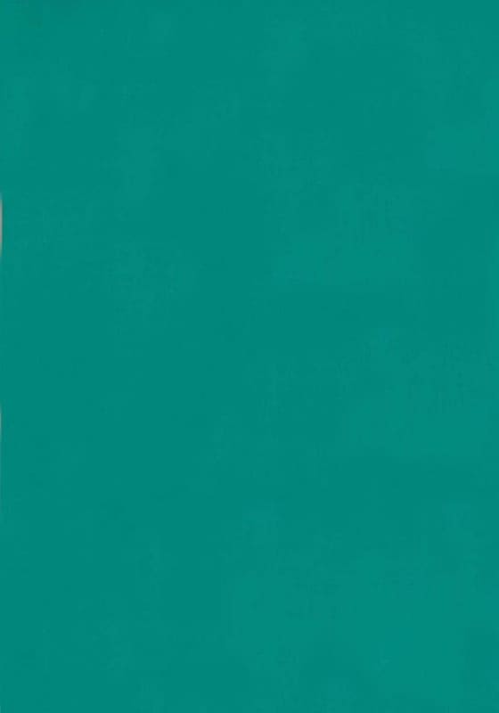 Sophana-Sri-Vietnamese-Proverbs-2-Back สุภาษิตเวียดนาม เล่ม 2