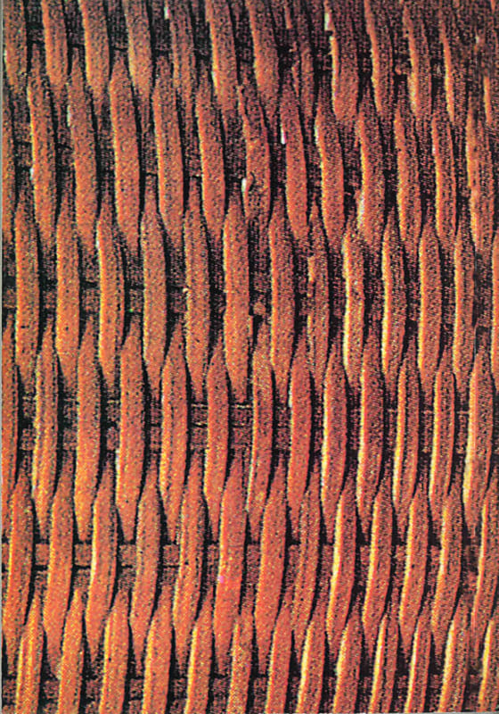 Somsonge-Bur-Kam-Tai-Oral-Literatures-Back Kam-Tai Oral Literatures