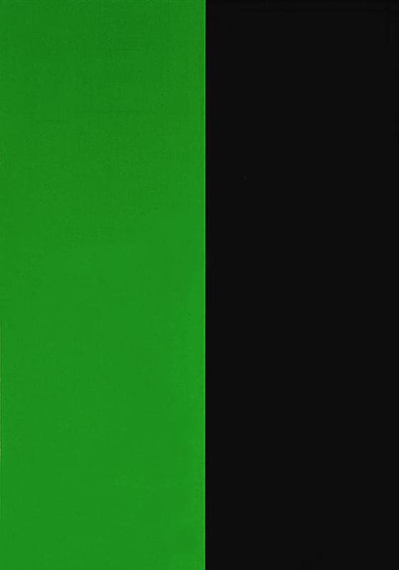 การทำวิจัยภาษาศาสตร์ภาคสนาม