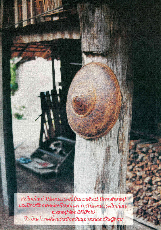 สารานุกรมกลุ่มชาติพันธุ์ในประเทศไทย : ไทยใหญ่